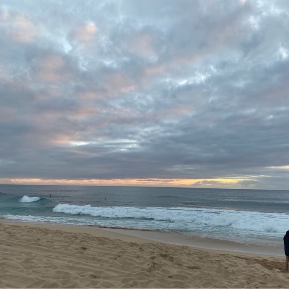 Meet your Posher, Haley - Picture 1 of 1